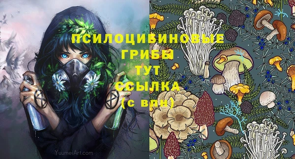 бутират Алексеевка